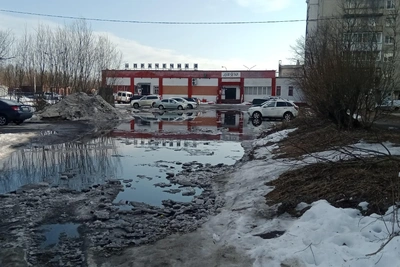 Архангельск: лужи вынуждают людей идти по дорогам