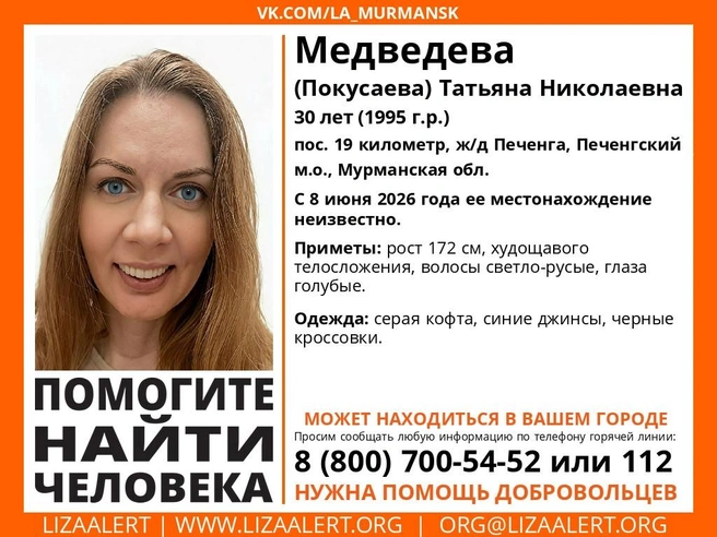 Источник: Поисковый отряд «ЛизаАлерт» Мурманской области / Vk.com