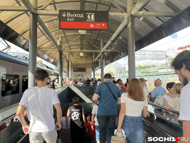 В Сочи не хватает рейсов Ласточек | Источник: Анна Грицевич / SOCHI1.RU