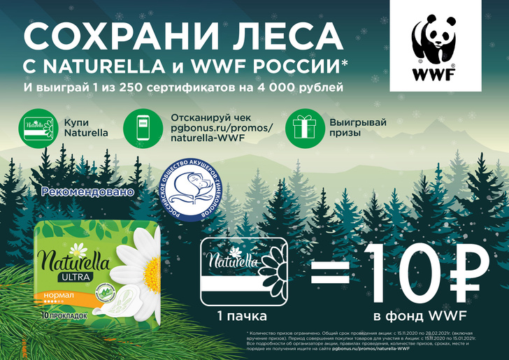 Как покупка прокладок Naturella поможет сохранить леса в Красноярском крае