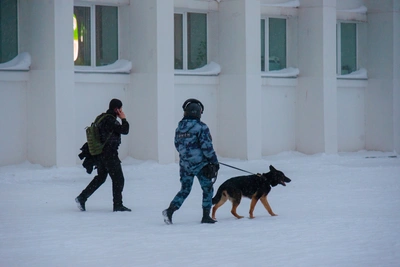 В Семилуках эвакуировали школу из-за угрозы минирования