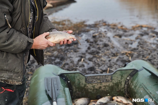 Хороший улов зависит от многих факторов | Источник: Александр Ощепков / NGS.RU