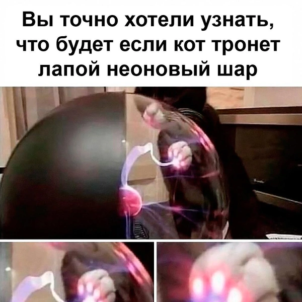 Источник: соцсети