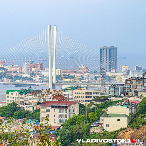 Источник: Алиса Князева / VLADIVOSTOK1.RU