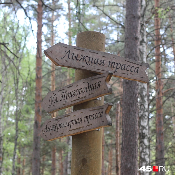 Источник: Александр Лисихин / 45.RU
