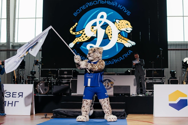 Источник: Ксения Зимина