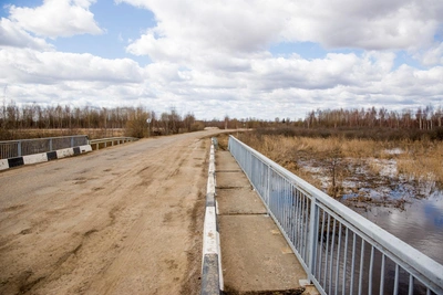 Паводок в Тульской области подтопил семь мостов