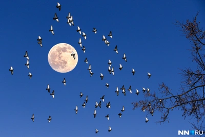 Астрологический прогноз на 2026 год для всех знаков зодиака