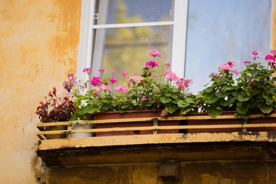 Мальчик 5 лет выпал с второго этажа в селе Лузино