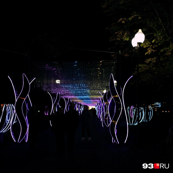 А чуть дальше начинается светящаяся паутина | Источник: Дарья Паращенко / 93.RU