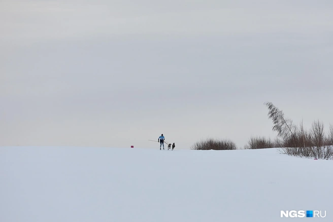 Команды достигают больших скоростей во время гонок | Источник: Александр Ощепков / NGS.RU