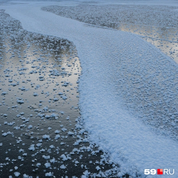 Источник: Тимофей Калмаков / 59.RU