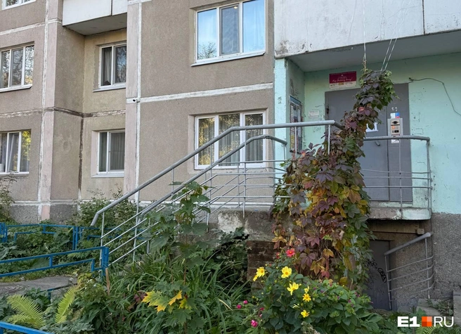 Во многих дворах уютно благодаря зелени и цветам | Источник: Анастасия Баранова / E1.RU