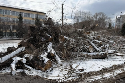 В Красноярске вырубили деревья вокруг ГорДК