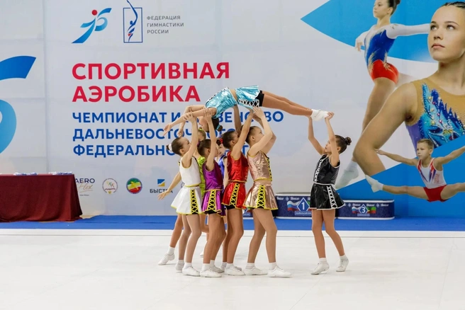 Источник: «Аэрофлекс»
