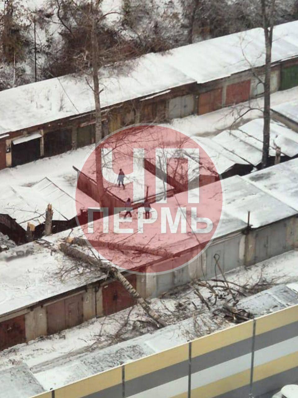 В разных районах Перми из-за ветра падают деревья: фото последствий ветровала