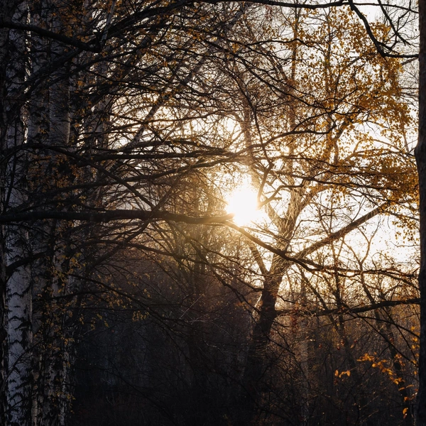 Ловите солнце! | Источник: «Самарский университет» / Vk.com 