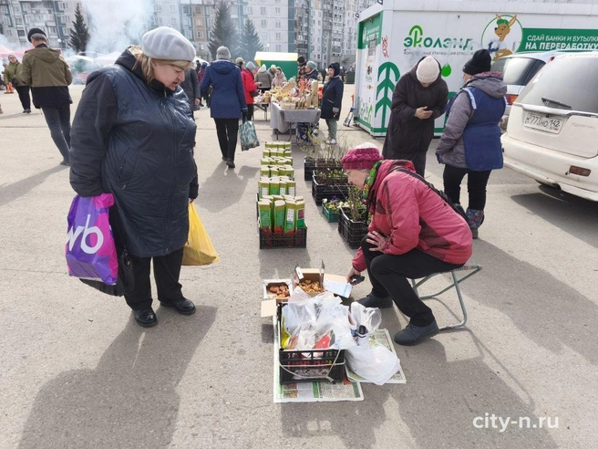 Источник: www.city-n.ru