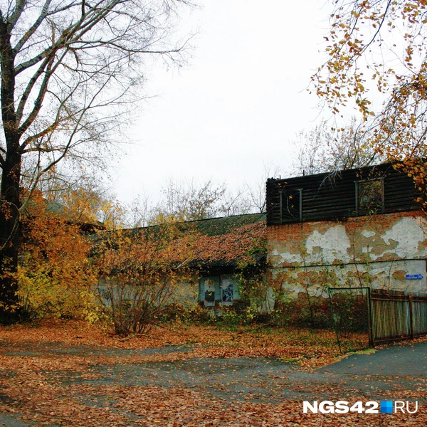 Источник: Татьяна Ирискина / NGS42.RU