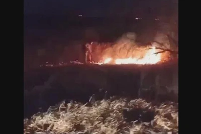 Пожарные раскритиковали поджигателей сухой травы