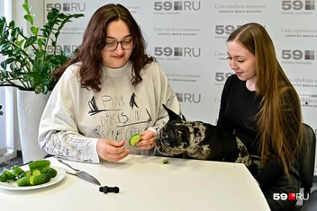 Источник: Василина Любимова / 59.RU
