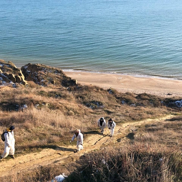 Источник: официальный телеграм-канал Комитета по природопользованию