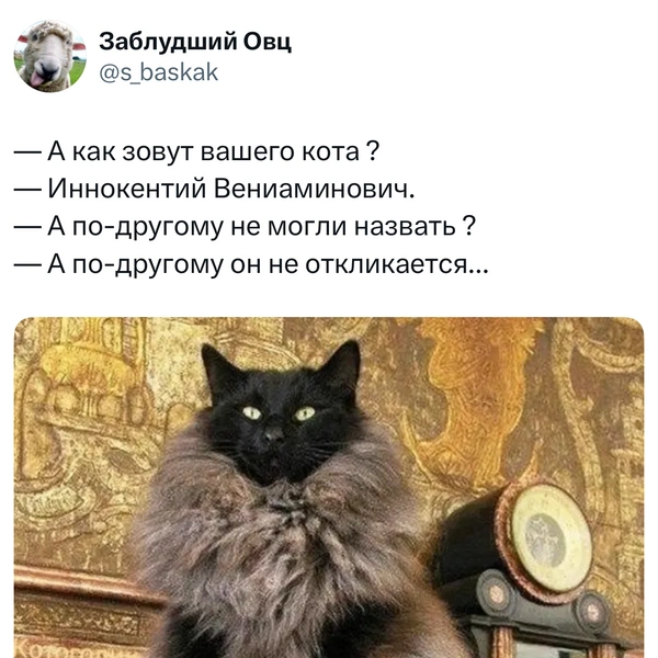 Источник: X (Twitter)