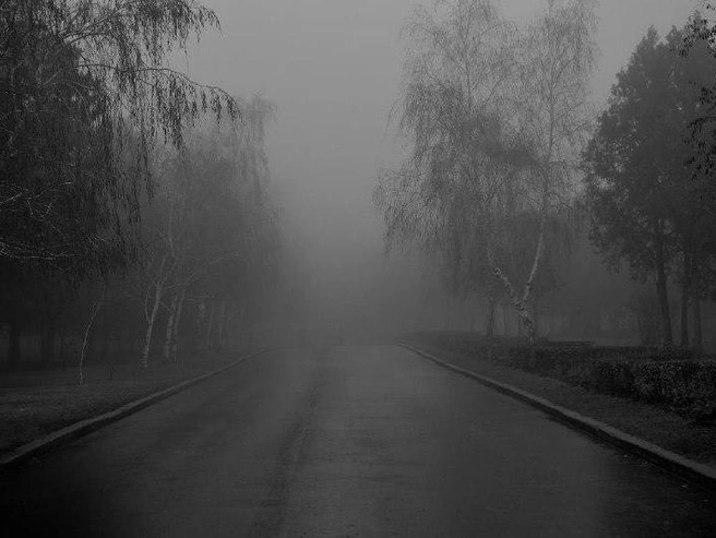 Куда ведет эта тропа? | Источник: Александр Киреев