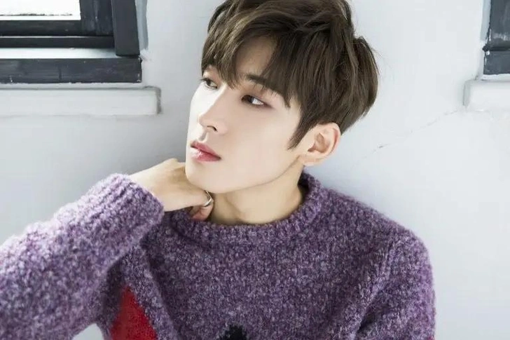 Источник: Kpop Wiki | Fandom