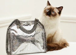 Котики в новом лукбуке Stella McCartney