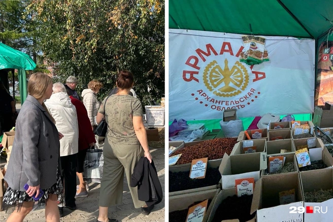 Маргаритинка закончилась, но торговля продолжается | Источник: Кристина Полевая / 29.RU