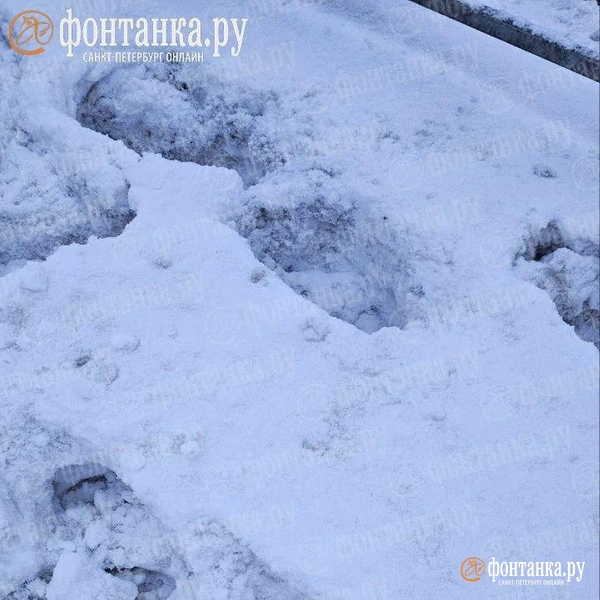 Источник: читатель «Фонтанки»