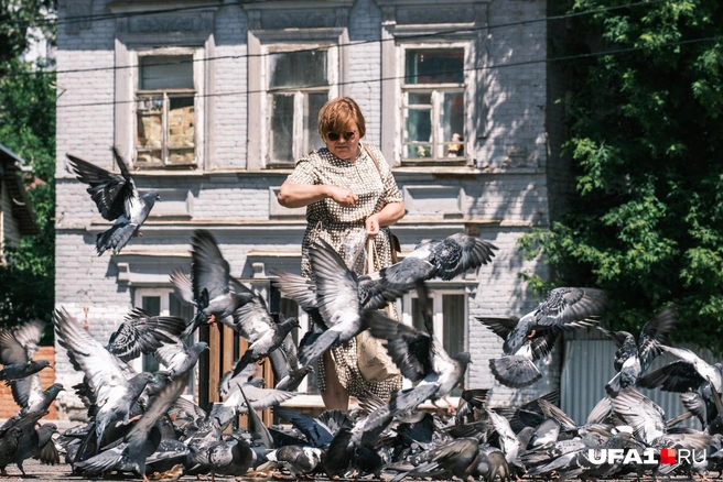 Гули, гули, гули | Источник: Булат Салихов / UFA1.RU