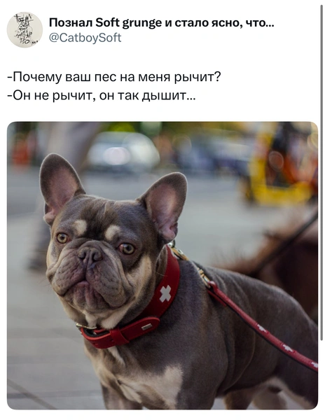 Источник: X (Twitter)