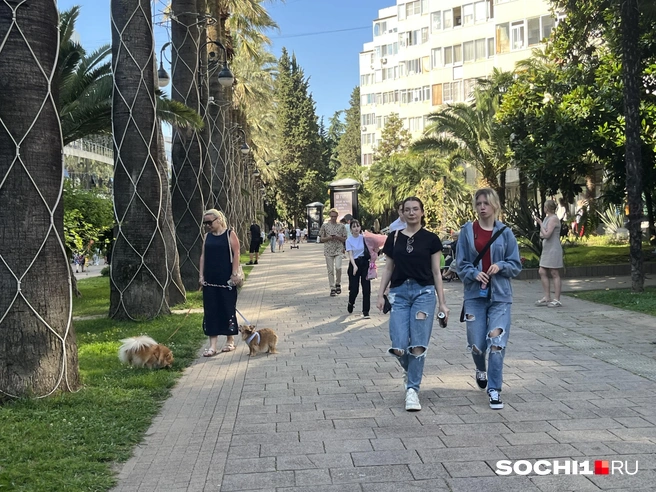 Некоторые местные гордятся, что не ходят на пляж | Источник: Анна Грицевич / SOCHI1.RU