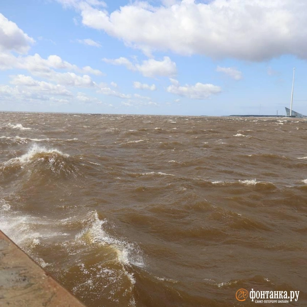 Источник: Сергей Михайличенко / «Фонтанка.ру»