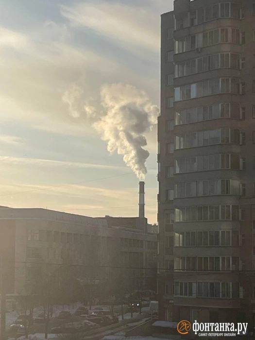 Источник: «Фонтанка.ру»