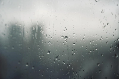 На Кубани прогнозируют похолодание и дожди