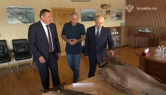 Кадр из видео Кремля в «Максе» | www.fontanka.ru