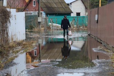 В Зауралье Тобол поднялся выше четырех метров