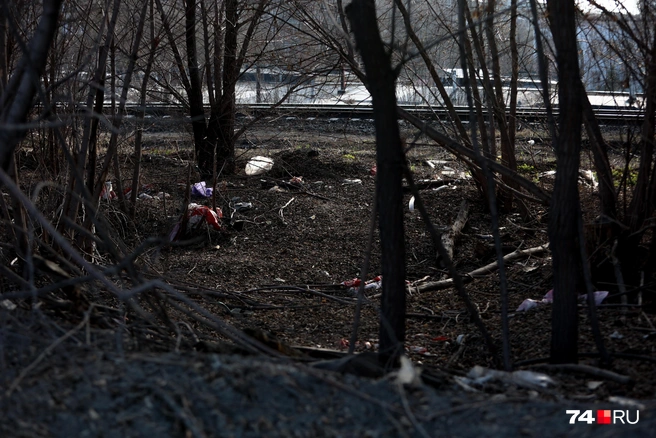 На случайной прогулке тут не окажешься, но тем не менее | Источник: Наталья Лапцевич