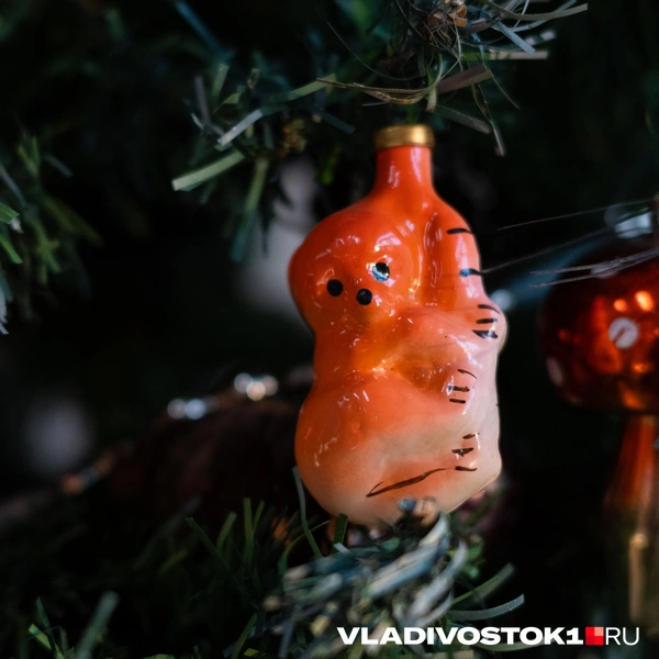 Источник: Елена Буйвол / VLADIVOSTOK1.RU