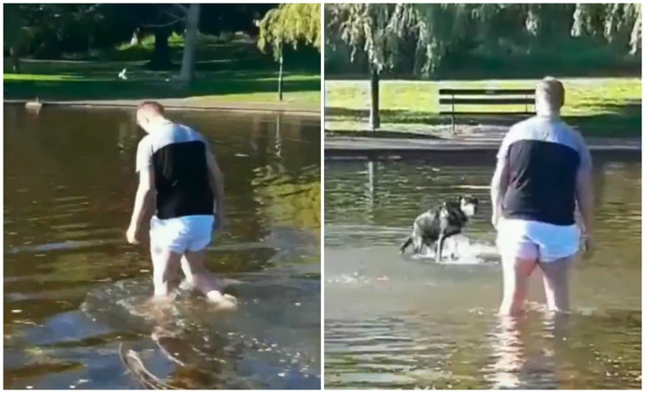 Мужик полез в пруд доставать пса, но тот наотрез оказывается прекращать свои игры (видео)