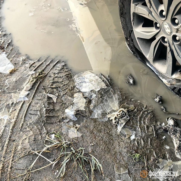 Источник: Ксения Потеева / «Фонтанка.ру»