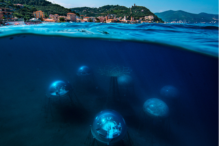 В Италии предлагают решить проблему нехватки продовольствия при помощи подводных оранжерей