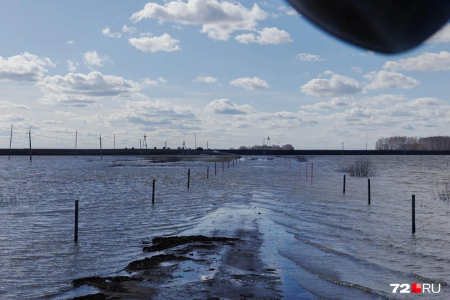 Если вода продолжит прибывать и достигнет отметки «опасное явление», в муниципалитете введут режим чрезвычайной ситуации | Источник: Ирина Шарова / 72.RU