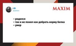 Лучшие шутки осени 2025 года и паническая контратака