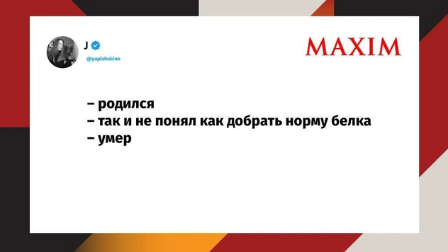 Лучшие шутки осени 2025 года и паническая контратака