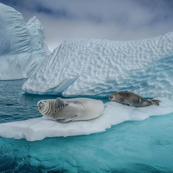 Источник: Cristina Mittermeier / BigPicture 2021