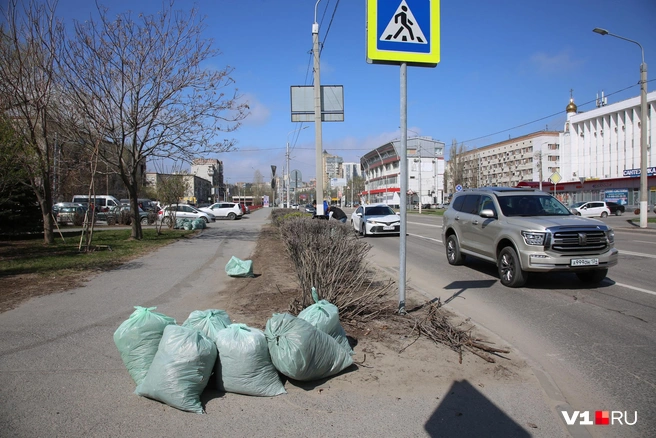 Сотрудники администрации приводили в порядок 7-ю Гвардейскую | Источник: читатели V1.RU
